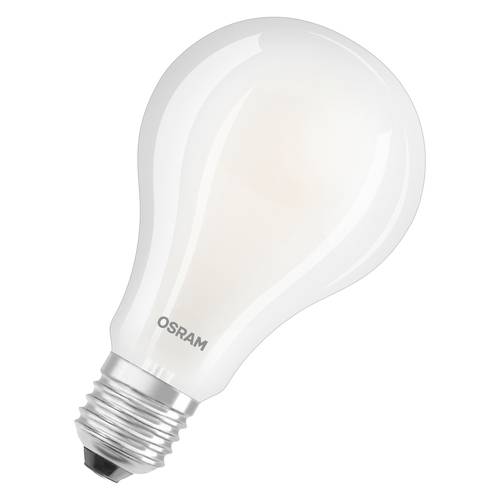 Weiße OSRAM-Glühbirne auf einfachem Hintergrund, schräg dargestellt mit metallischer Schraubfassung.