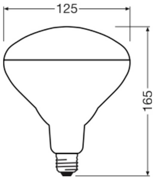 Dimensionierte Kontur einer Glühbirnenform, mit 125 breit und 165 hoch beschriftet, mit Schraubsockel.
