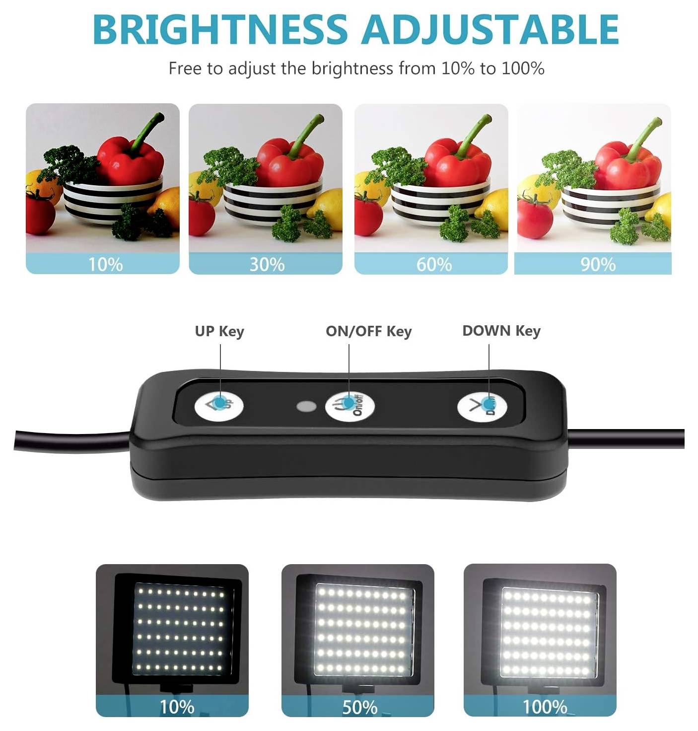 Neewer ZC-10S LED Videoleuchte Anzahl LEDs=132