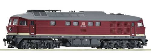 Roco 7310094 H0 Diesellok 234 399-4 der DB AG