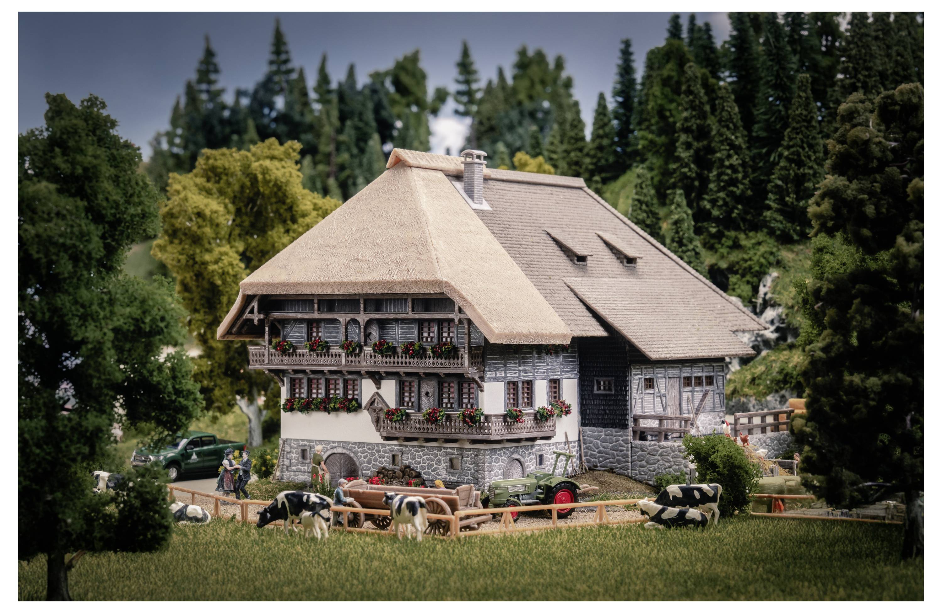 Ein rustikales Bauernhaus mit Strohdach sitzt auf einer grasbewachsenen Wiese, mit weidenden Kühen in der Nähe und hohen Nadelbäumen im Hintergrund.