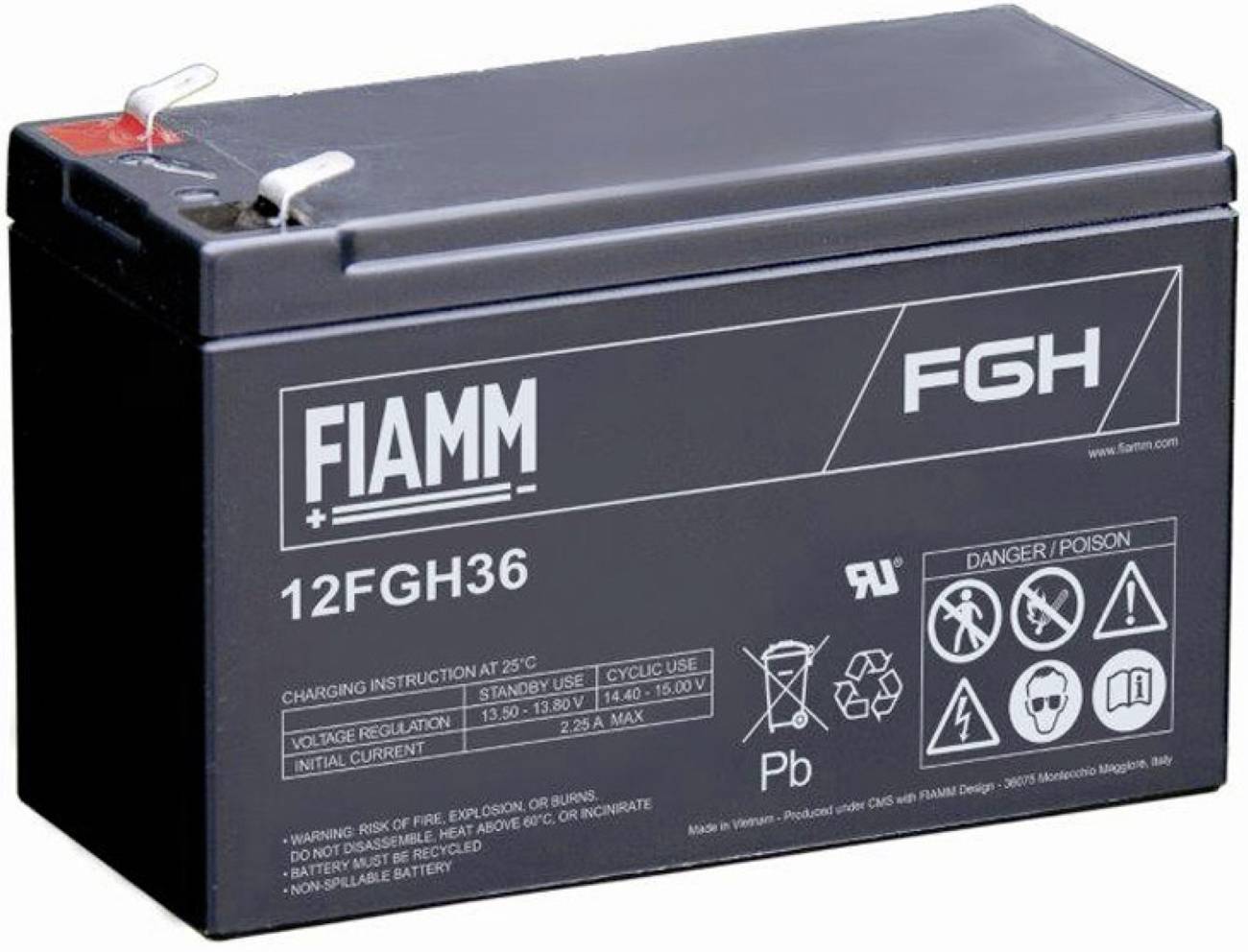 Schwarze FIAMM F6H 12FGH36 versiegelte Blei-Säure-Batterie mit sichtbaren positiven und negativen Anschlüssen und Warnaufklebern.