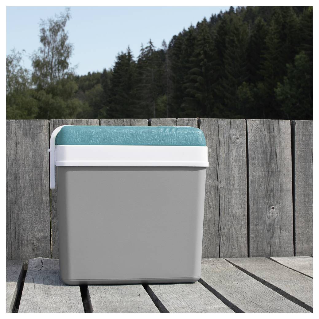 Ein grauer Kühlbox mit einem blaugrünen Deckel steht auf einem verwitterten Holzdeck vor einem Zaun und Bäumen im Freien.