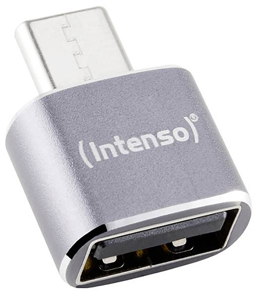 USB-C zu USB-A Adapter mit Intenso-Logo, gezeigt auf weißem Hintergrund.