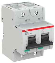 Ein zweipoliger ABB-Leitungsschutzschalter mit schwarzen Kippschaltern und einem roten Streifen auf einem weißen Gehäuse.