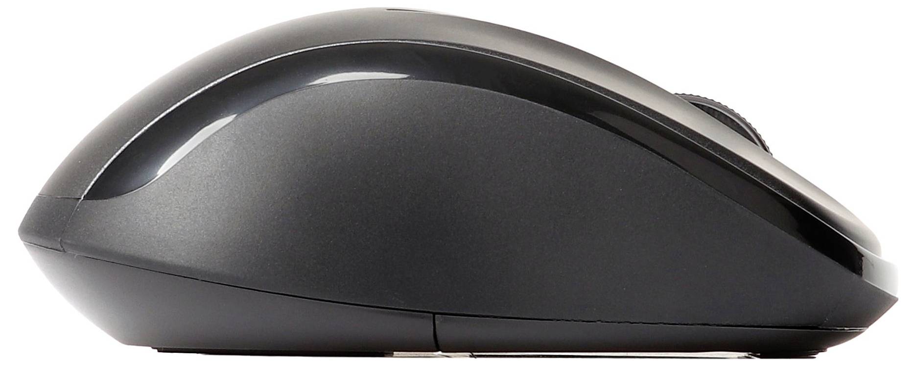 Schwarze kabellose Computermaus in Seitenansicht auf weißem Hintergrund.