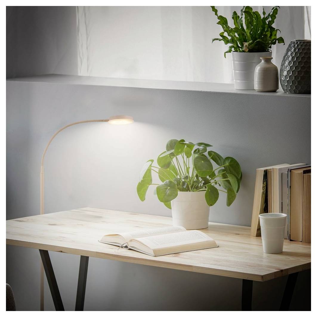 Helles Arbeitszimmer mit aufgeschlagenem Buch, Topfpflanze, Lampe und Büchern auf einem Holztisch neben einem Wandregal.