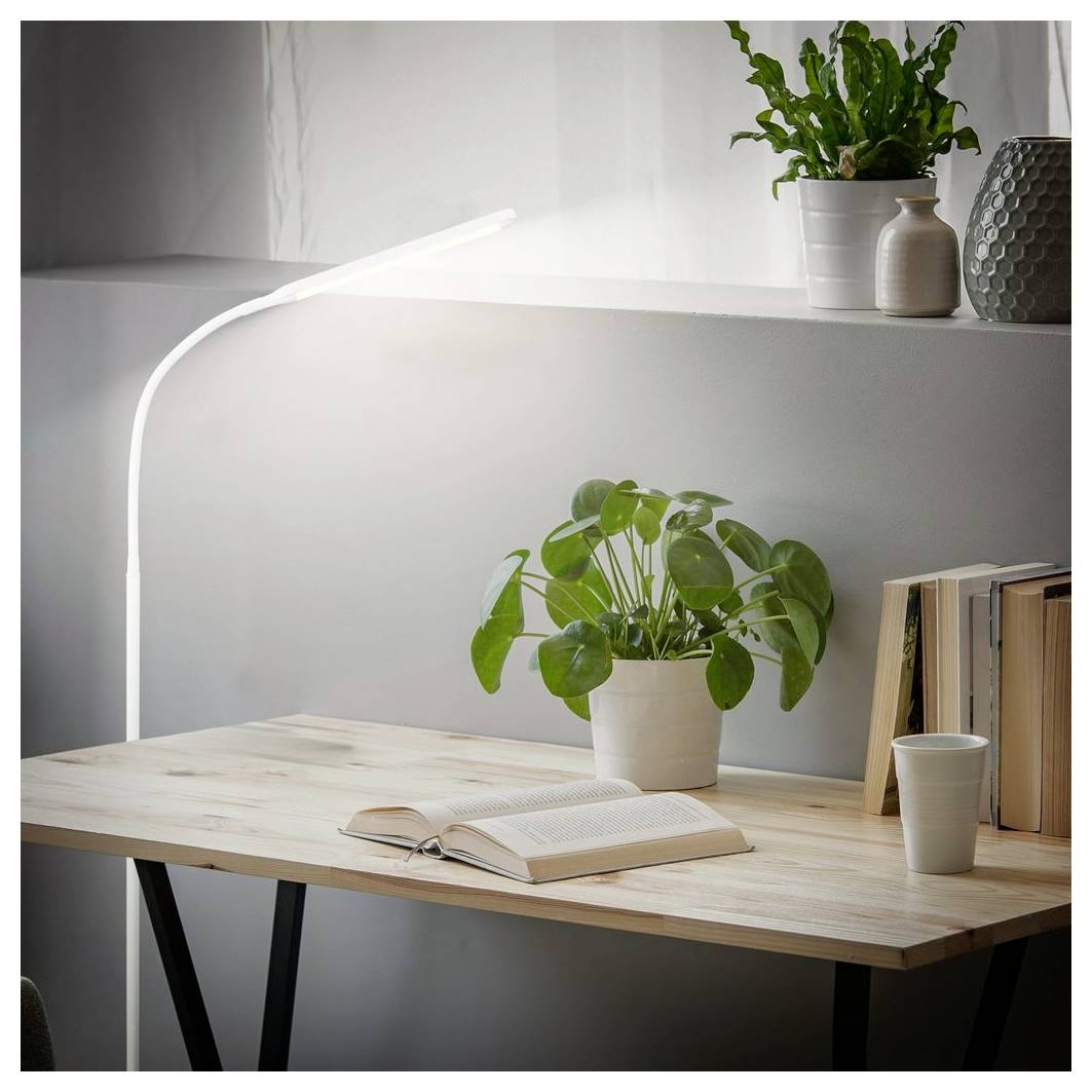 Minimalistischer Arbeitstisch im Homeoffice mit aufgeschlagenem Buch, Topfpflanze und leuchtender Stehlampe neben einem Fenster im sanften Tageslicht.