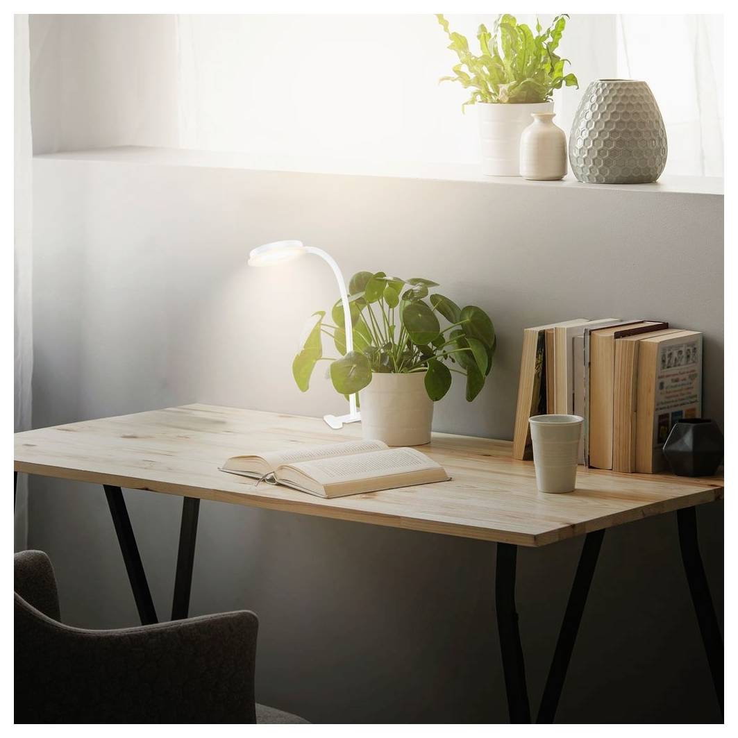 Sonnendurchfluteter Schreibtisch mit offenen Buch, Topfpflanze, Lampe, Büchern und Tasse, die einen ruhigen Arbeitsplatz am Fenster schafft.