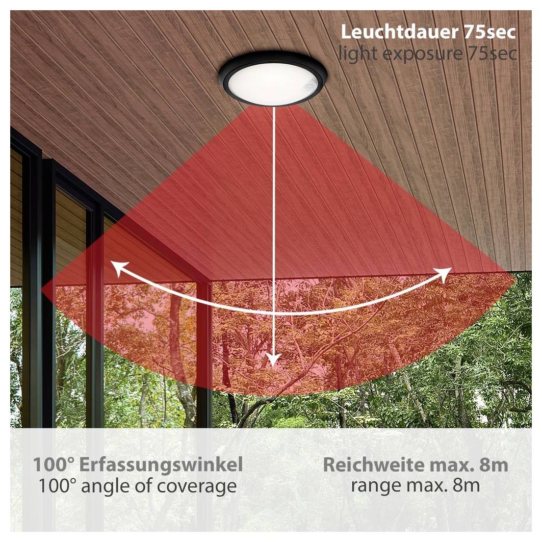 Diagramm einer Deckenleuchte mit einer Lichtbelichtung von 75 Sekunden, einem Erfassungswinkel von 100° und einer maximalen Reichweite von 8 m.