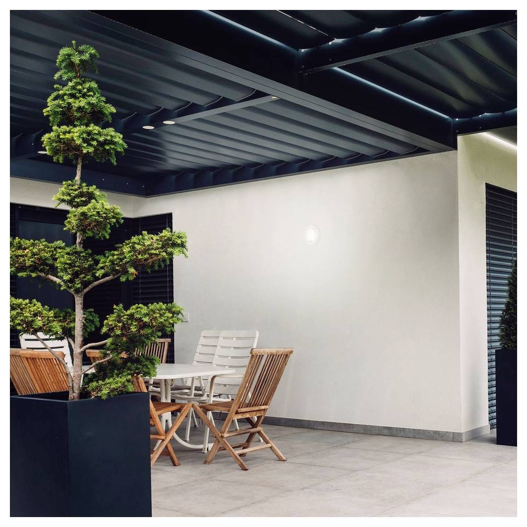 Minimalistische Terrasse mit einem Baum im Topf, rundem Tisch und Holzstühlen unter einer dunklen Lamelldecke neben einer schlichten Wand.