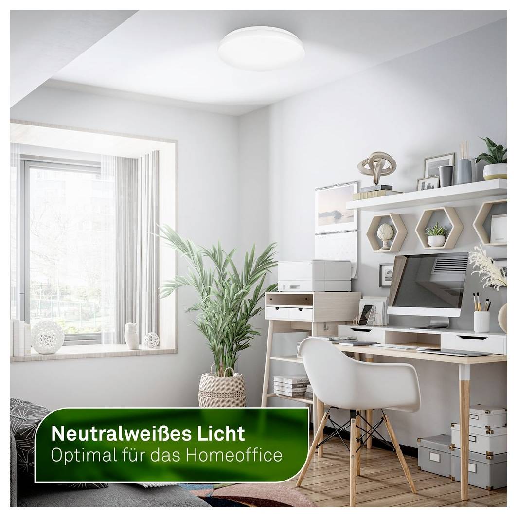 Ein helles Homeoffice mit Schreibtisch, Computer, Stuhl, Regalen, Pflanze und Fenster; grünes Etikett liest „Neutralweißes Licht Optimal für das Homeoffice