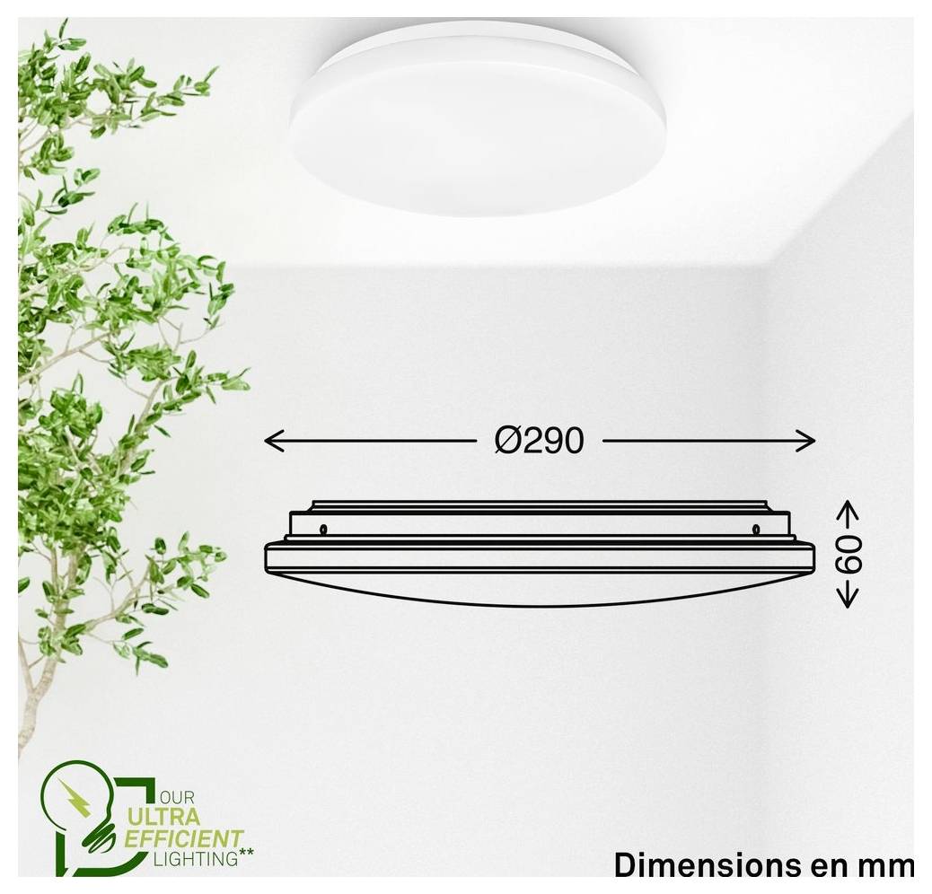 Diagramm zeigt eine runde Deckenleuchte mit Abmessungen in mm: Durchmesser Ø290 und Höhe 60.