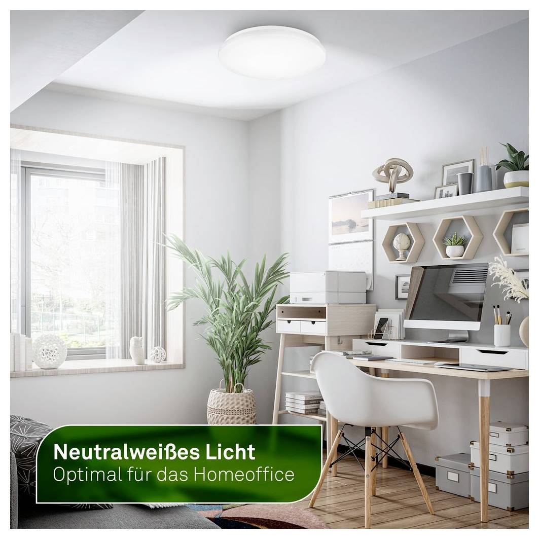 Modernes Homeoffice mit Schreibtisch, Computer, Stuhl, Regalen und Pflanzen; der Text besagt „Neutralweißes Licht