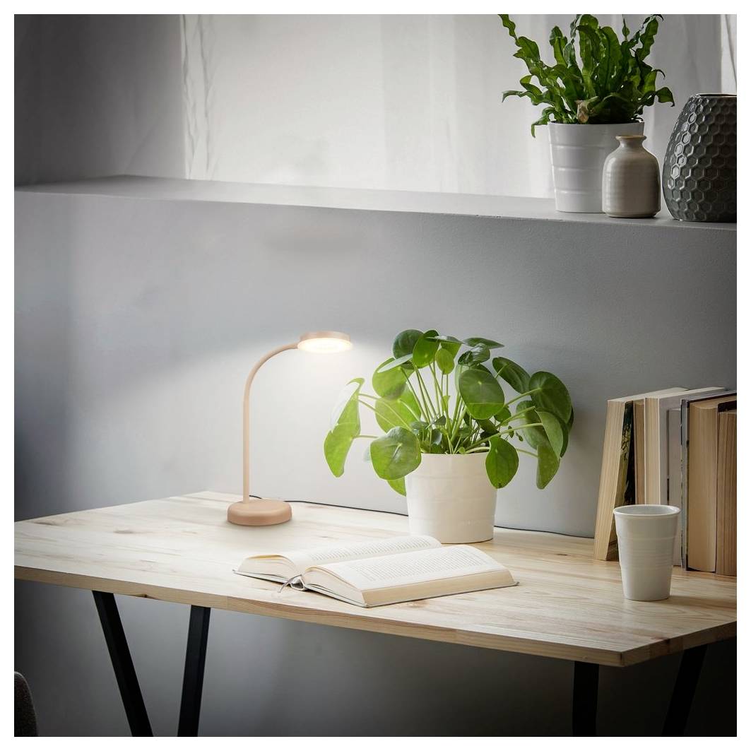 Ein ordentlicher Heimarbeitsplatz mit einer leuchtenden Schreibtischlampe, einem aufgeschlagenen Buch, einer Topfpflanze, Büchern und einer Tasse auf einem Holzschreibtisch neben einem Fenster.