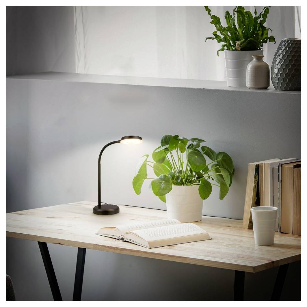 Minimalistischer Schreibtisch mit leuchtender Lampe, aufgeschlagenem Buch, Topfpflanze, Tasse und Büchern auf einem ordentlichen Homeoffice-Tisch