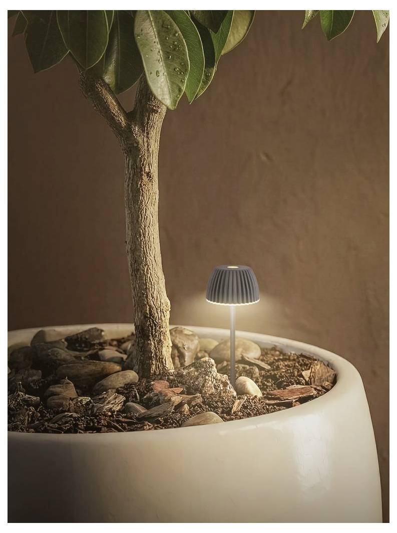 Ein getopfter Zimmerbaum mit einem kleinen grauen Gartenlicht, das zwischen Steinen in der Erde leuchtet.