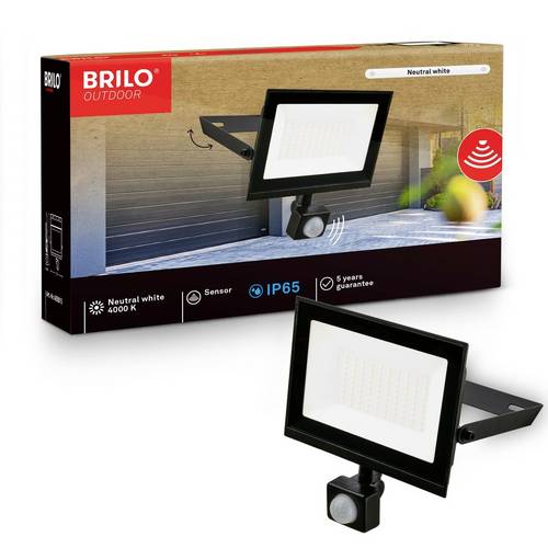 Briloner VARO 4055015 LED-Außenwandleuchte 50 W Leuchtfarben: Neutralweiß