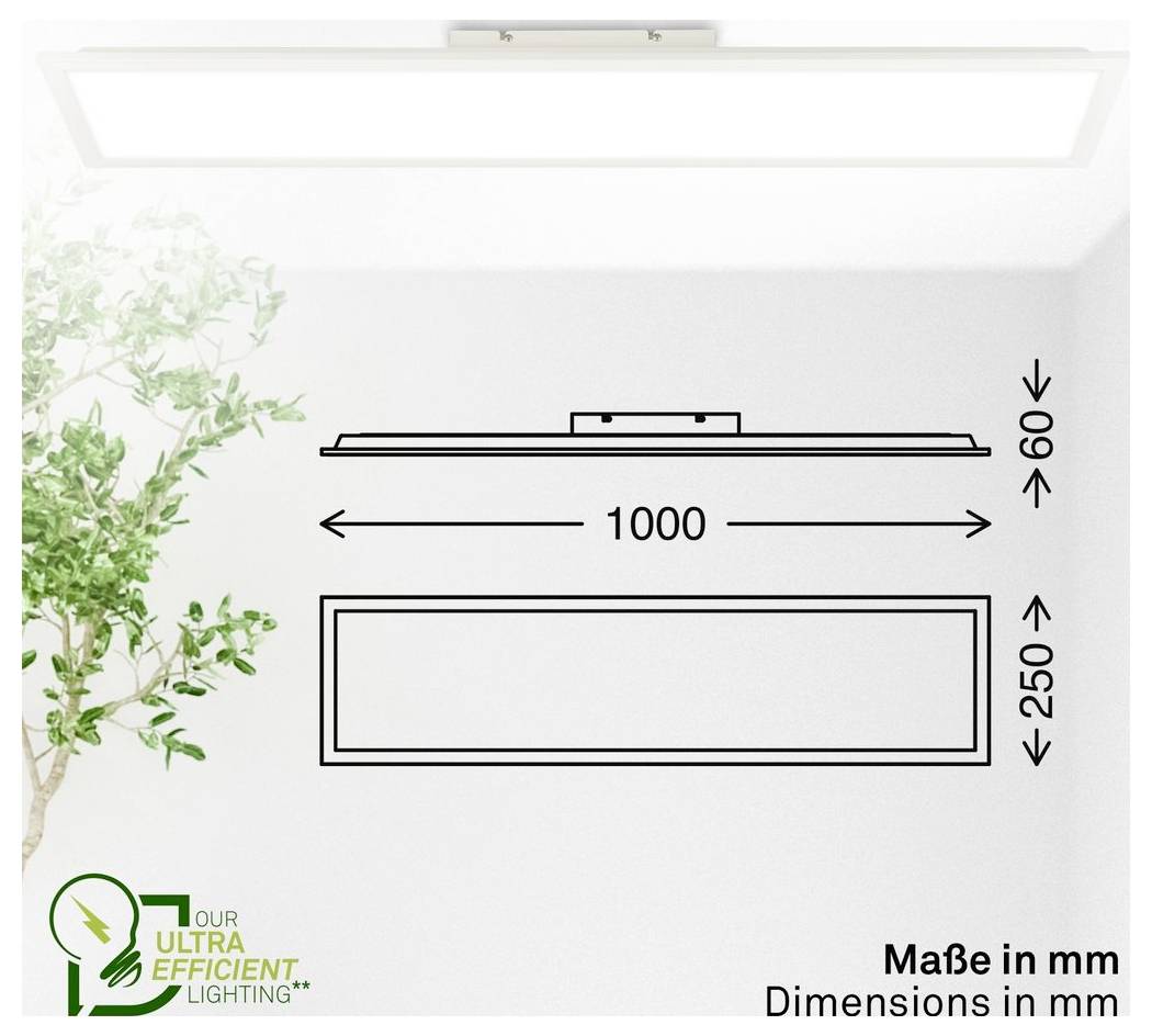 Maßzeichnung einer rechteckigen LED-Deckenleuchte, beschriftet mit 1000 mm Breite, 250 mm Tiefe und 60 mm Höhe.