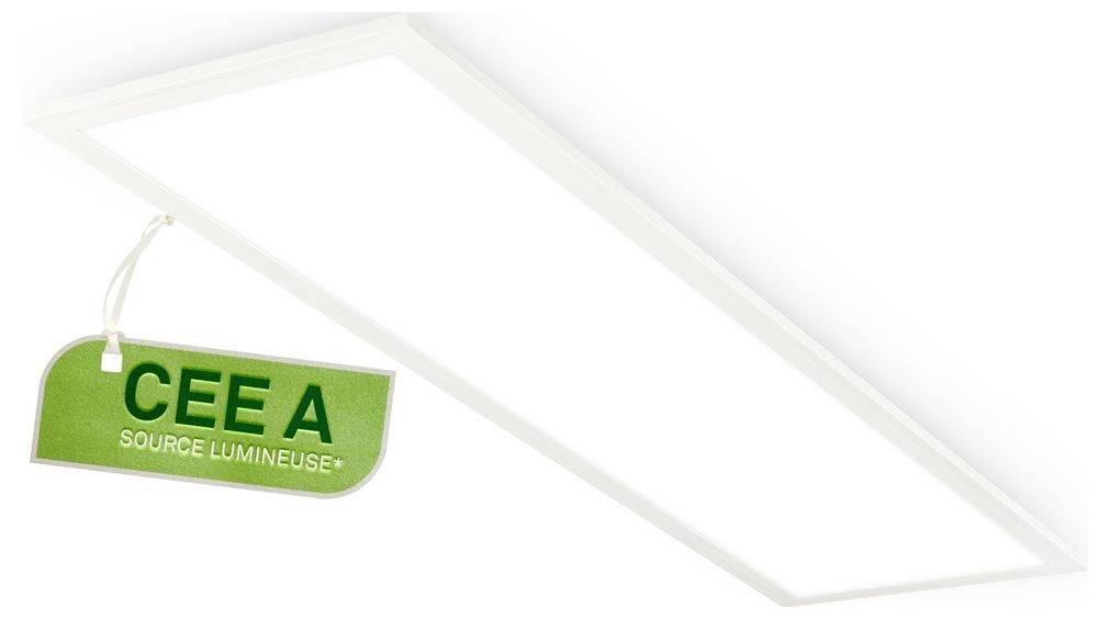 Deckenleuchte mit einem hängenden grünen Etikett mit der Aufschrift „CEEA
