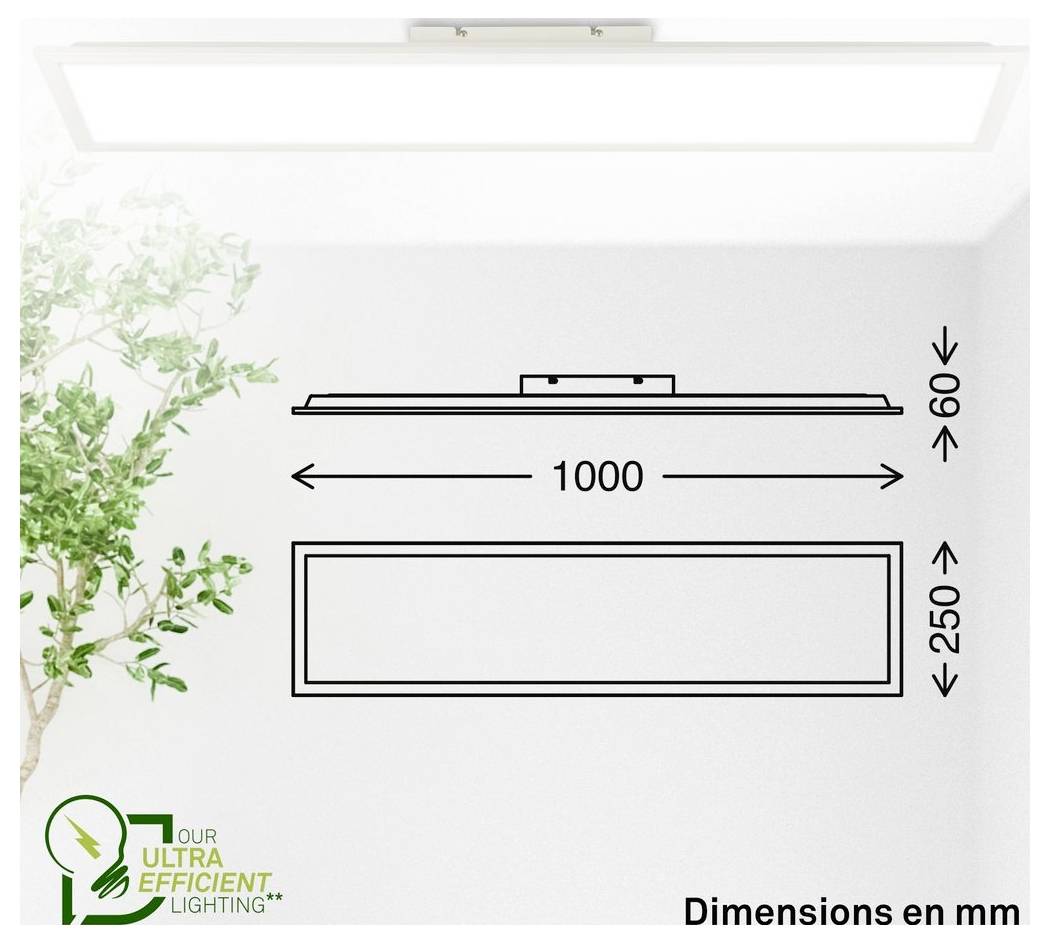Diagramm einer rechteckigen Deckenleuchte mit Abmessungen in mm: 1000 mm breit, 250 mm tief und 60 mm hoch.
