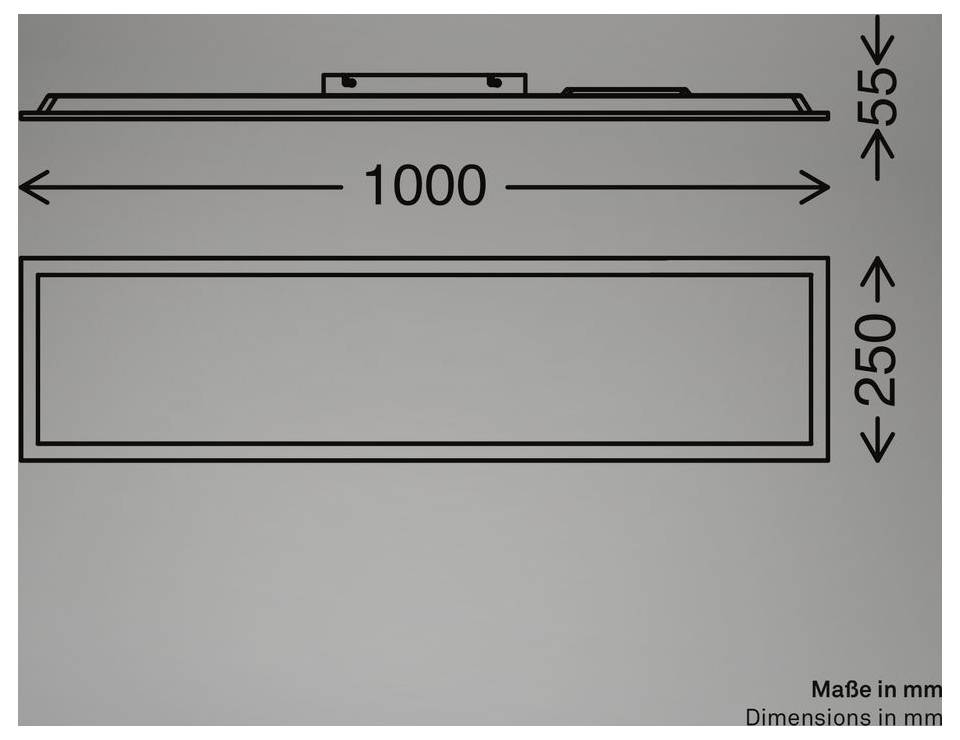Maßstabzeichnung eines rechteckigen Panels, 1000 mm breit und 250 mm hoch, mit einer Tiefe/Höhe von 55 mm in der Seitenansicht dargestellt.