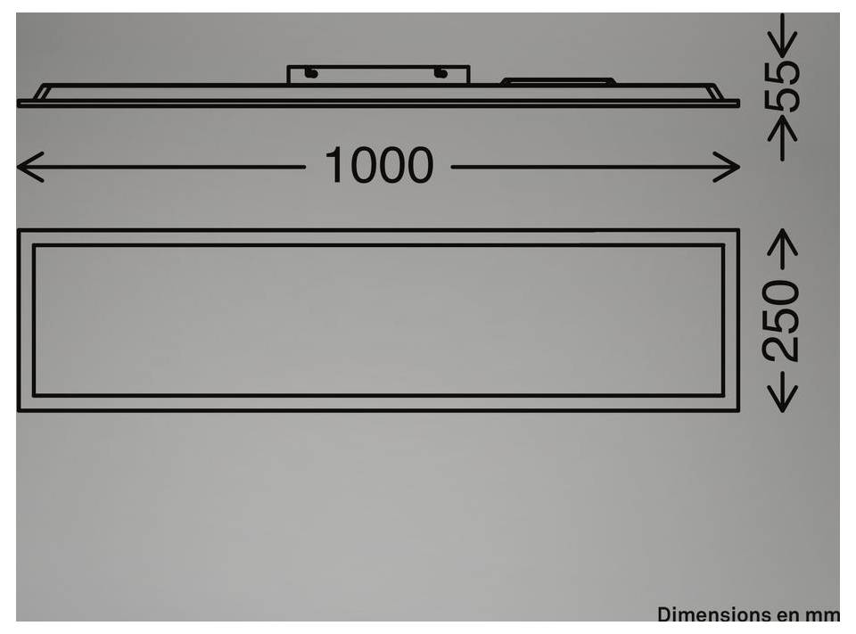 Technische Zeichnung eines rechteckigen Panels: 1000 mm breit, 250 mm hoch und 55 mm tief, dargestellt in Draufsicht und Vorderansicht.