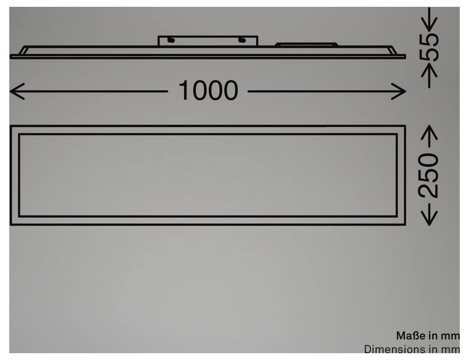 Technische Zeichnung eines rechteckigen Panels mit beschrifteten Abmessungen: 1000 mm Breite, 250 mm Höhe und 55 mm Tiefe.