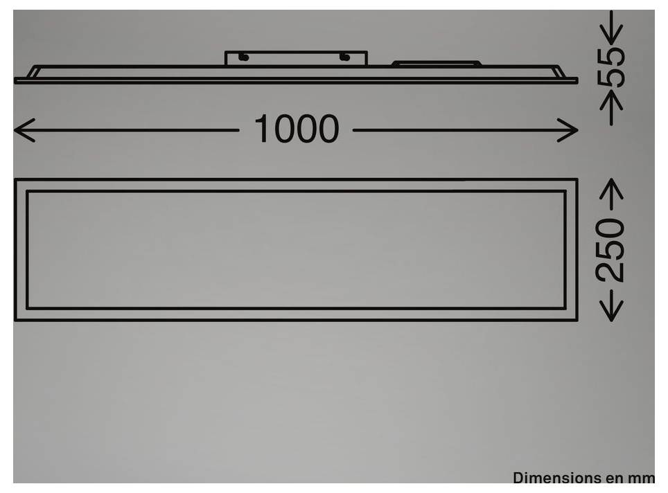 Technische Zeichnung eines rechteckigen Panels mit einer Breite von 1000 mm, einer Höhe von 250 mm und einer Tiefe von 55 mm, mit Abmessungen in Millimetern dargestellt.