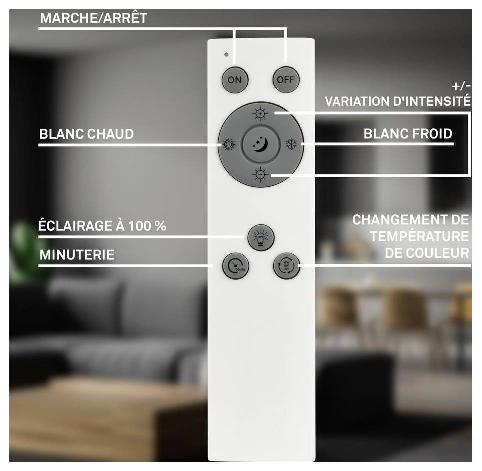 Beschriftete Fernbedienung für eine Lampe mit An-/Aus-, Helligkeitsregelung, Warm-/Kaltweiß, 100% Helligkeit, Timer- und Farbtemperaturwechselsteuerungen.