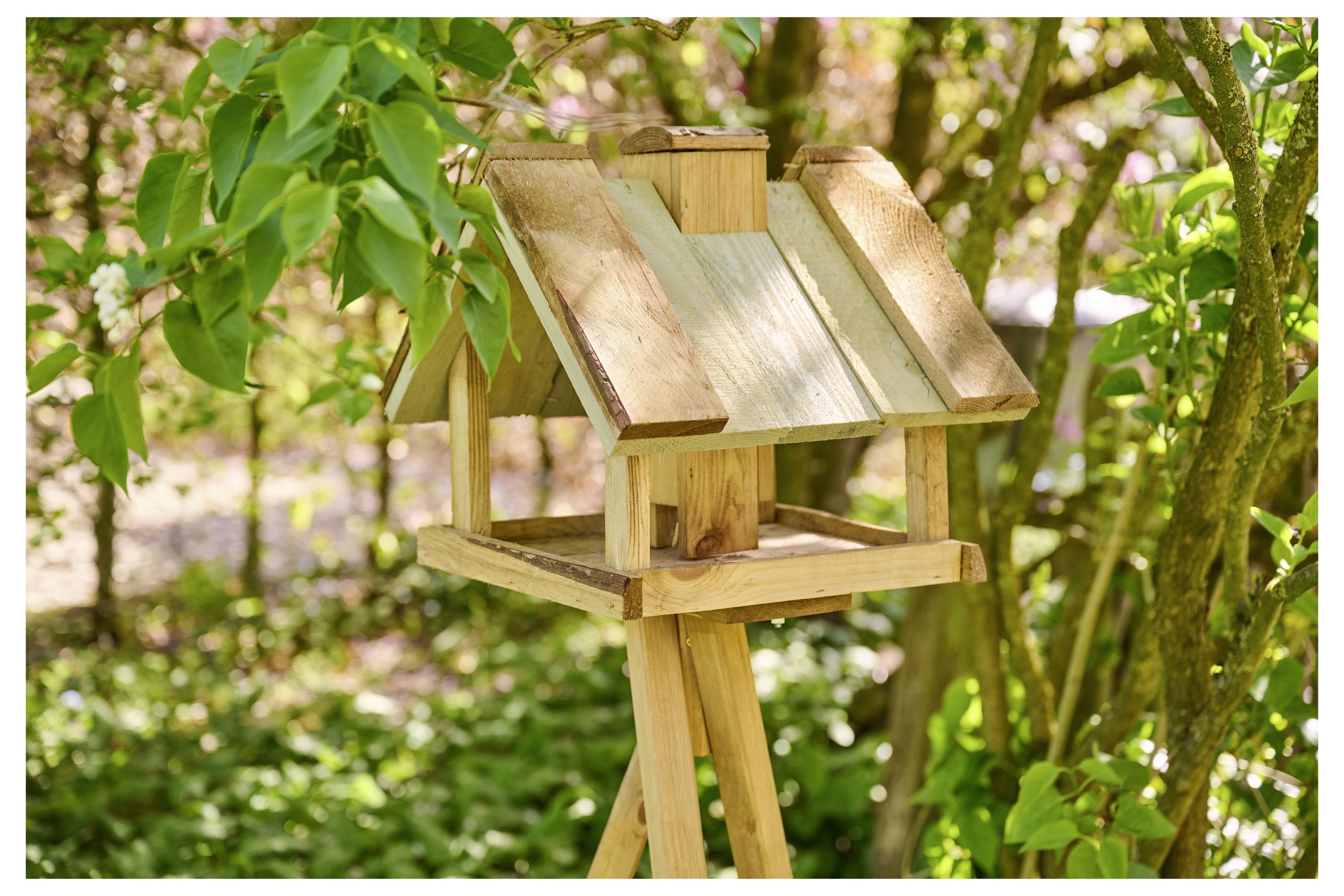 Siena Garden W29527 Vogelhaus 1St.