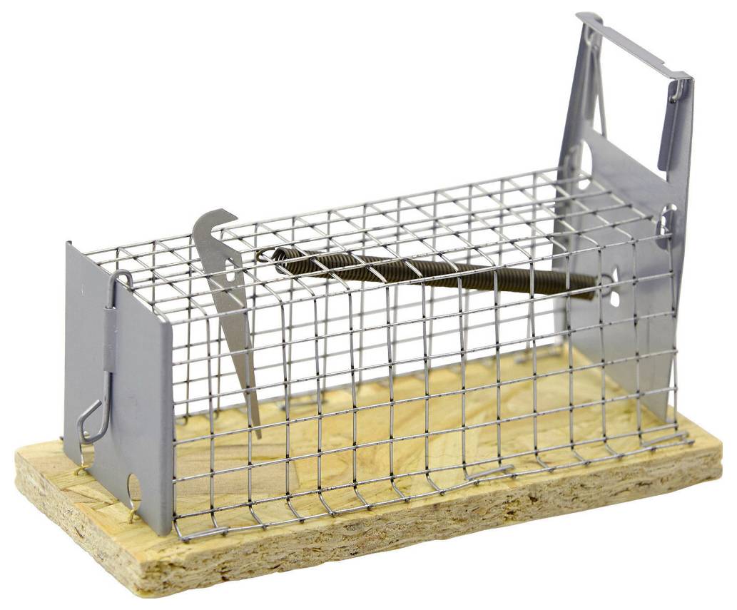 Metalldraht-Lebendfalle für kleine Tiere auf Holzsockel, freigestellt auf Weiß.