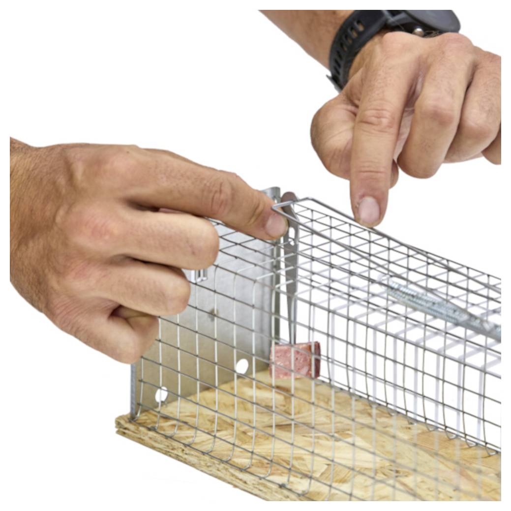 Hände, die eine Drahtnetzfalle oder einen Käfig auf einer Holzbasis bauen, wobei eine Hand auf die obere Ecke zeigt.