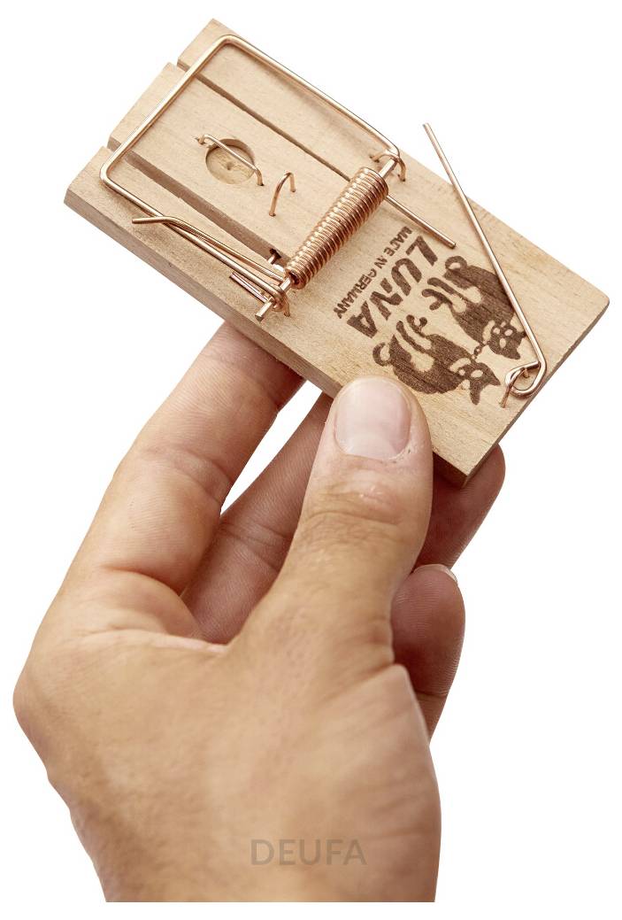 Hand hält eine hölzerne Mausefalle mit Kupferdraht als Köder, wobei der Fallmechanismus und das gedruckte Etikett auf der Basis sichtbar sind.
