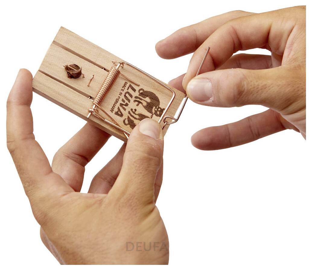Hände stellen eine selbstgebaute Holzmausefalle ein, die den Federmechanismus und das Köderkompartiment auf weißem Hintergrund zeigt.