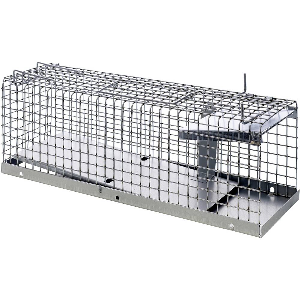 Drahtkäfig-Lebendfalle mit schmalem Eingang in Einbahnrichtung und Metallbasis, dargestellt vor weißem Hintergrund.