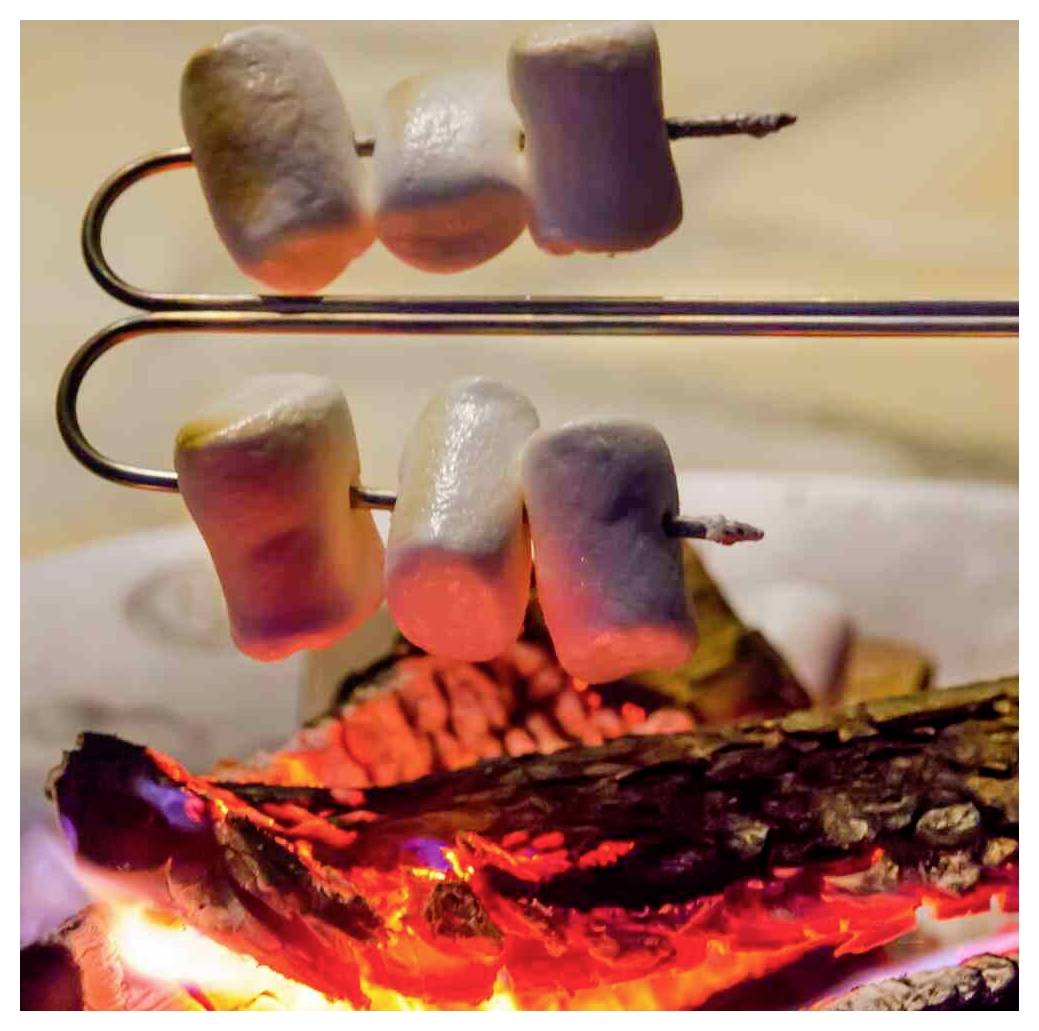 Marshmallows, die auf Metallspießen über glühenden Lagerfeuerkohlen geröstet werden, mit verkohltem Holz darunter.