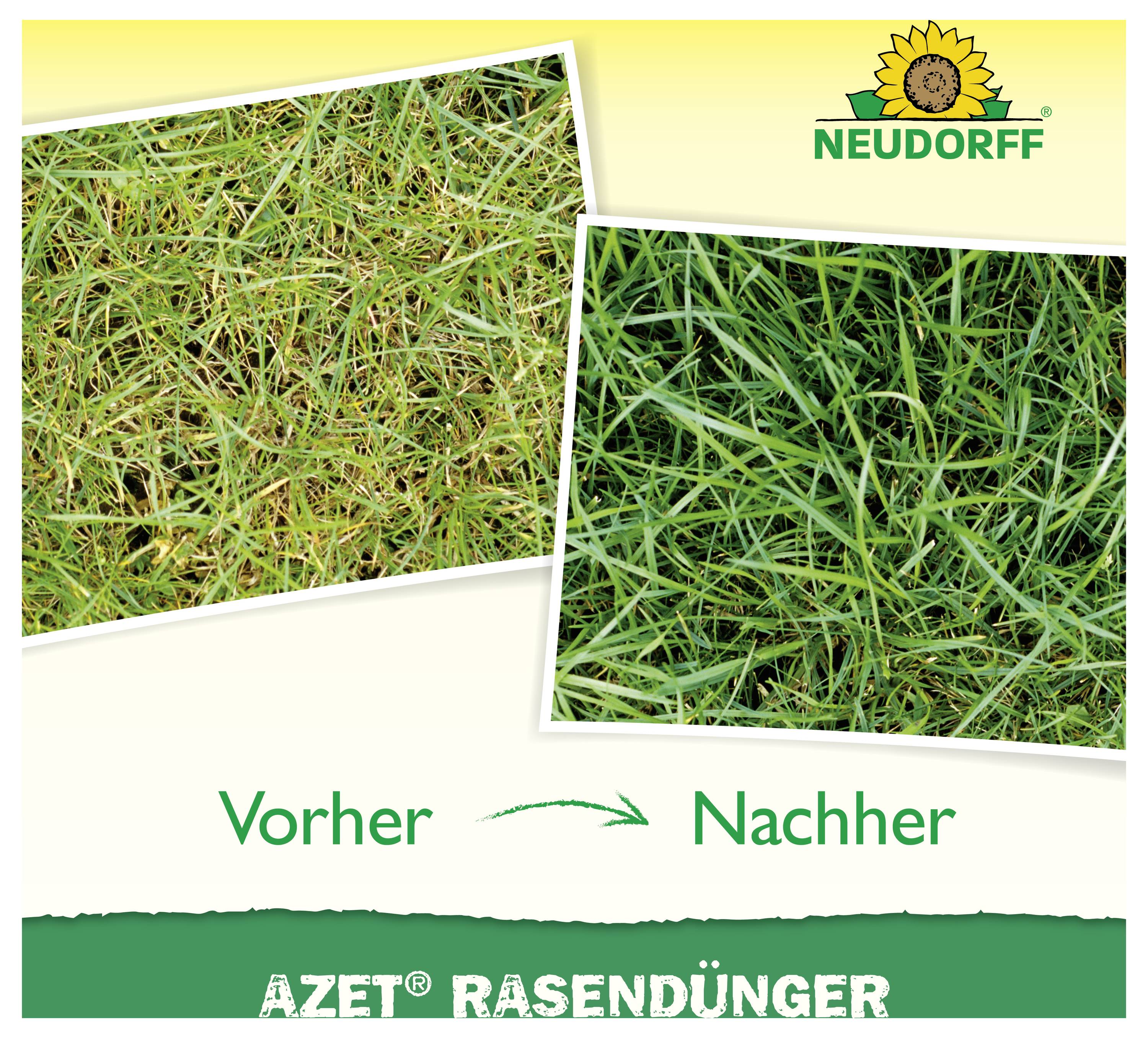 Vergleichsgrafik mit Rasen vor und nach der Behandlung: Links spärliches gelbes Gras, rechts grüneres dichteres Gras, beschriftet mit „Vorher