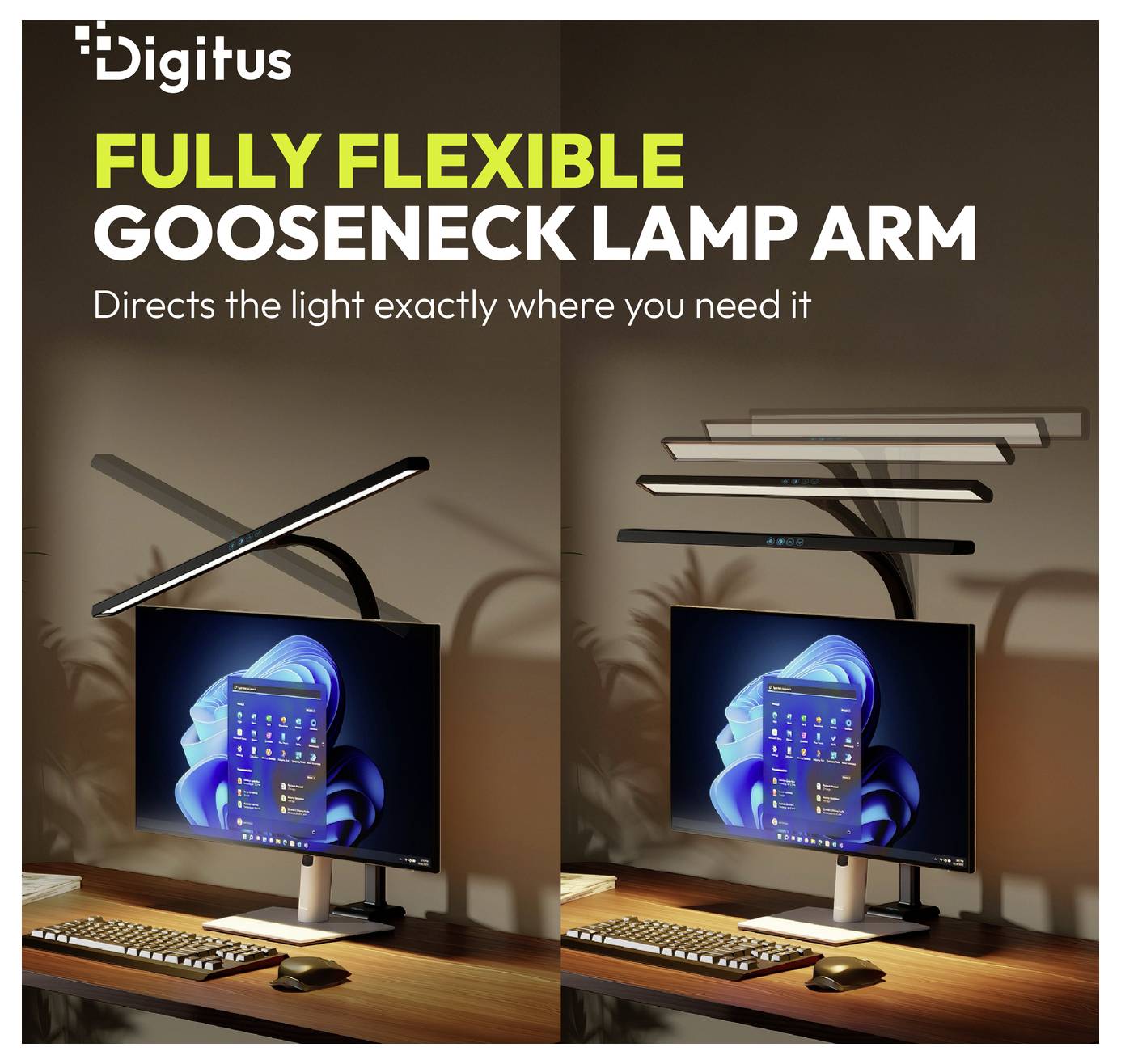 Anzeige für die Digitus 