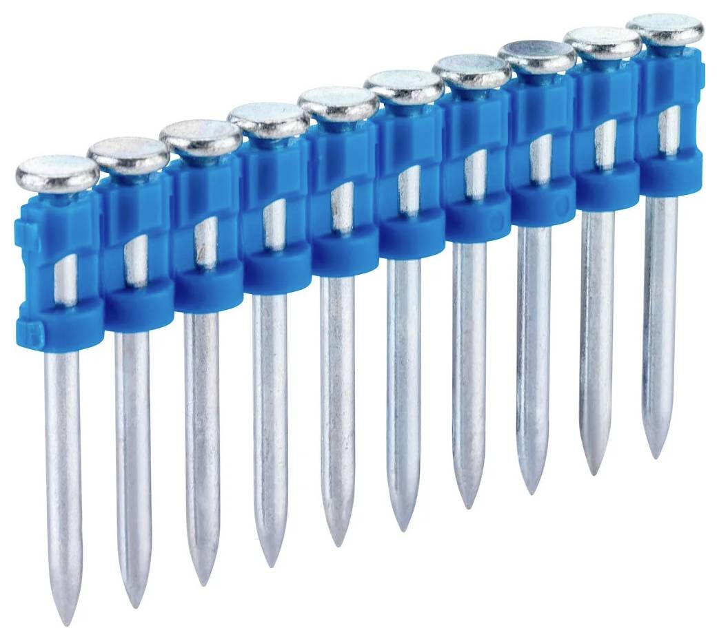 A row of collated bright blue collated framing nails with metal heads and pointed tips, arranged diagonally on a white background.