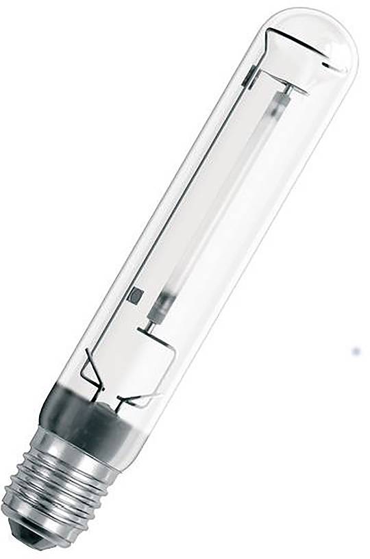 Eine klare zylindrische Glühbirne mit metallischem Schraubgewinde auf weißem Hintergrund.