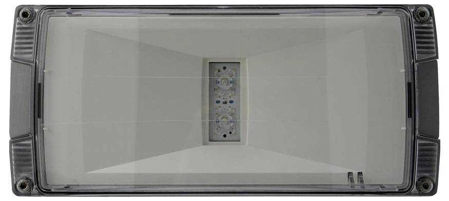 Rechteckige Außenleuchte mit klarer Linse und grauem Gehäuse, zeigt integrales LED-Modul in der Mitte.