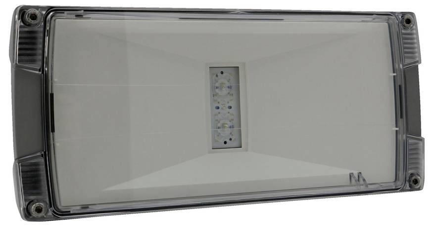 Rechteckige LED-Leuchte mit klarer Linse und schwarzem Gehäuse, Vorderansicht dargestellt.