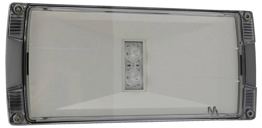 Nahaufnahme einer rechteckigen Wand- oder Deckenleuchte mit einem zentralen LED-Modul und einer transluzenten Abdeckung.