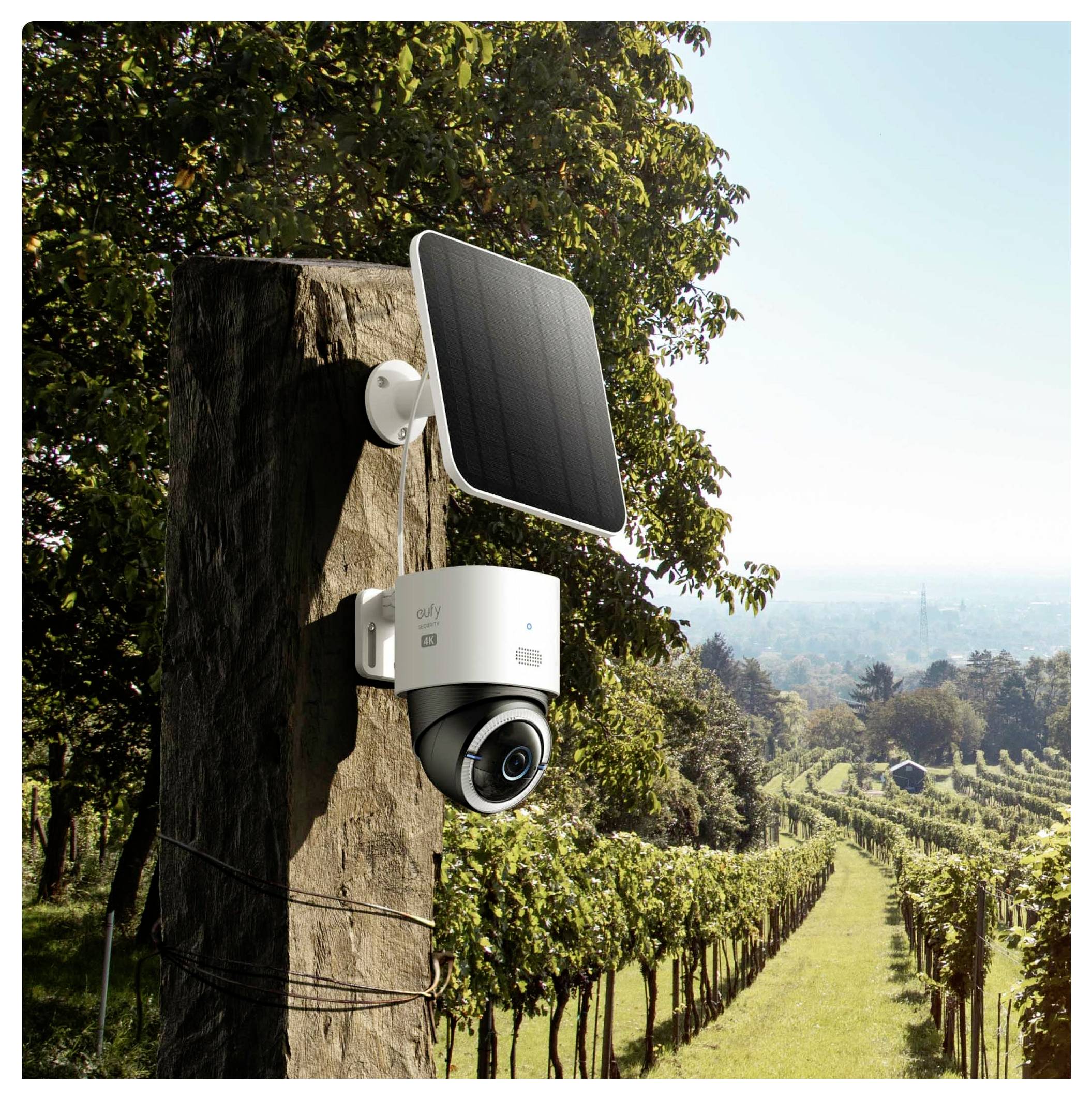 Solar-betriebene Überwachungskamera auf einem Baumstumpf montiert, die Weinbergreihen in einer sonnigen ländlichen Landschaft überblickt.