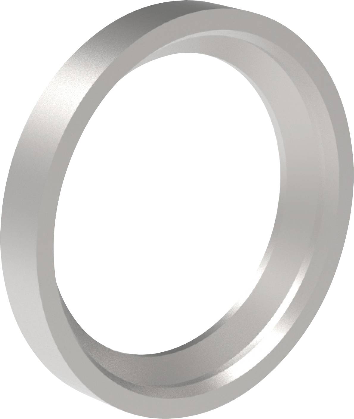 Ein metallischer silberner Ring oder eine Unterlegscheibe, die dreidimensional auf weißem Hintergrund gezeigt wird.