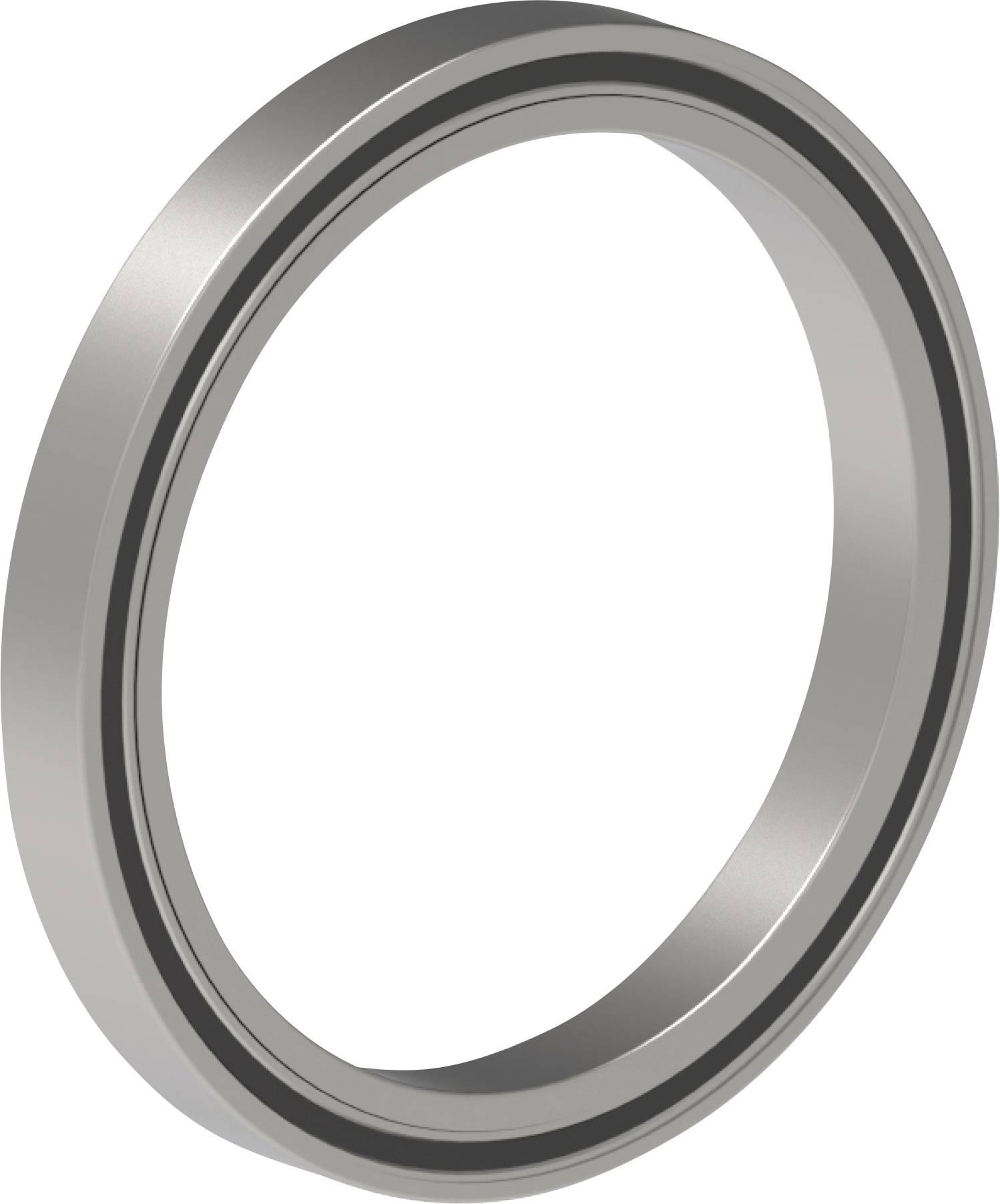 Ein metallischer kreisförmiger Ring oder eine Dichtung, shown vor weißem Hintergrund, in 3D-Ansicht angewinkelt.