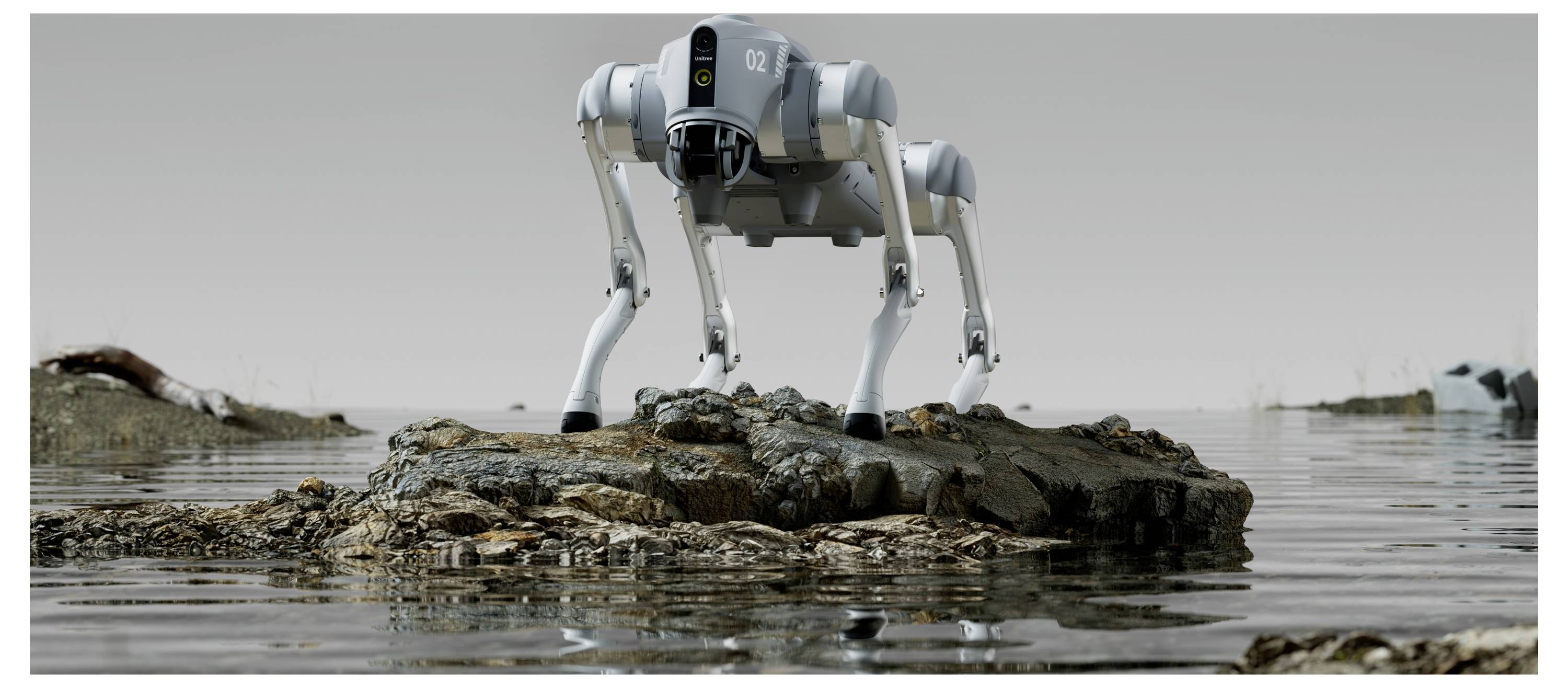 Quadrupeder Roboter steht auf einem felsigen Vorsprung in flachem Wasser, blickt nach vorne in einer minimalistischen grauen Landschaft.