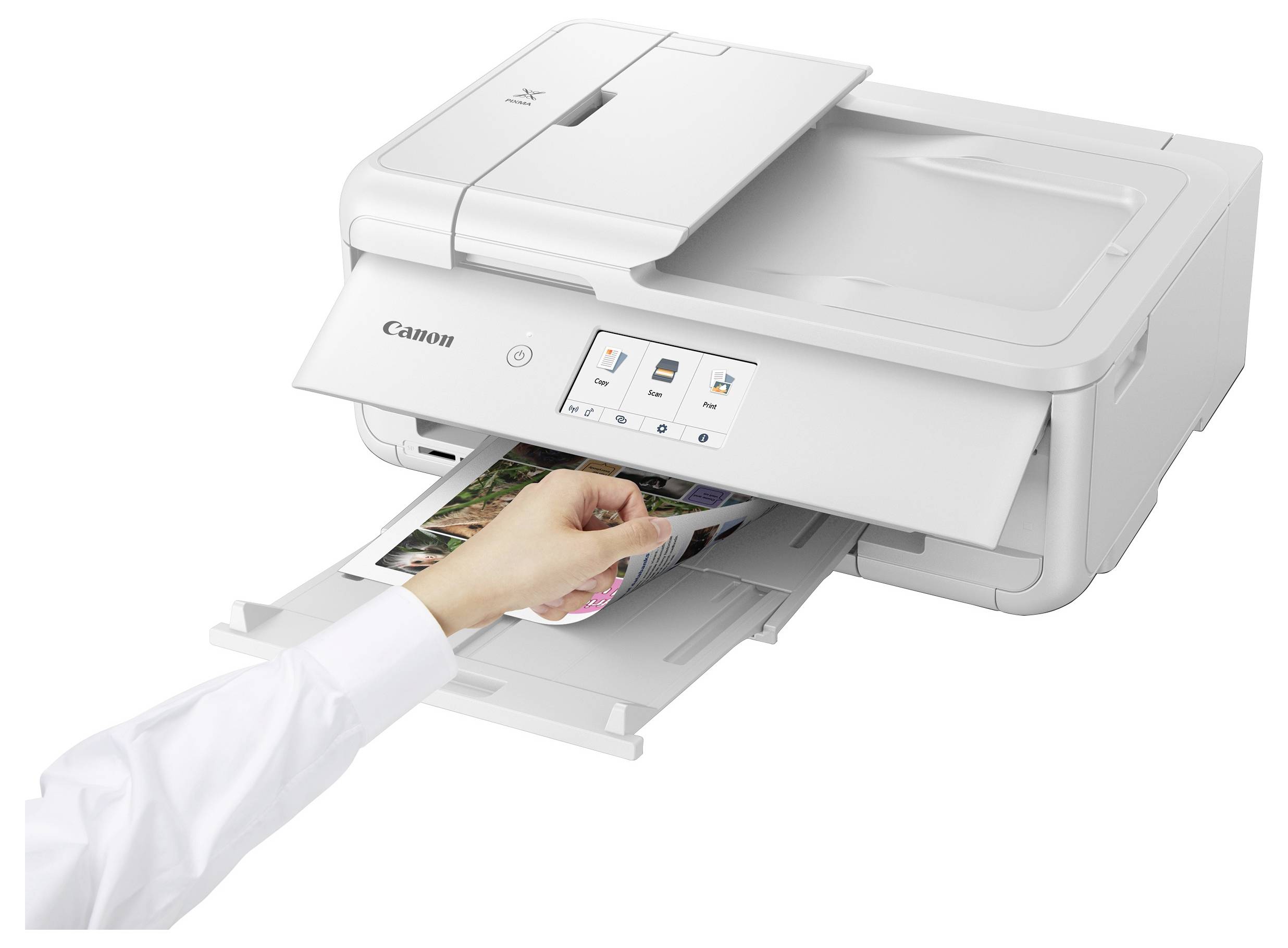 Eine Hand führt eine CD/DVD in einen Canon-Multifunktionsdrucker mit offener Frontschublade und sichtbarem Touchscreen-Display ein.