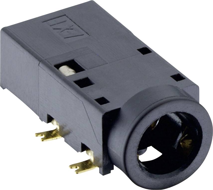 Schwarzer zylindrischer Gleichstrom-Stromstecker mit zwei vergoldeten Stiften, dargestellt auf weißem Hintergrund.